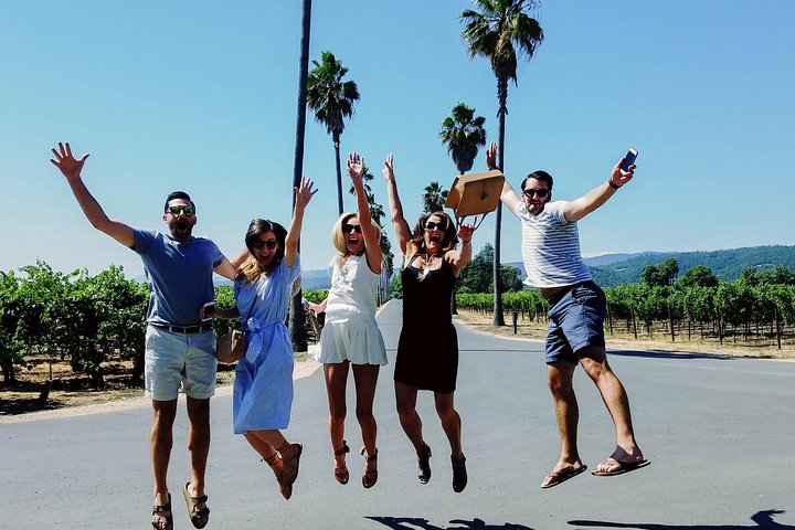 Vignes de Napa Valley lors d'une visite guidée avec un expert local