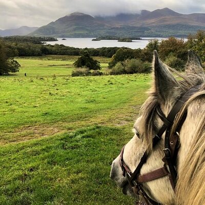 Rider on a guided trail in Killarney National Park