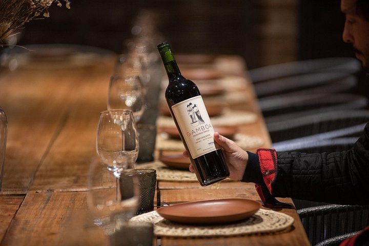 Winery tasting and lunch on the outskirts of Buenos Aires, Viator listing photo