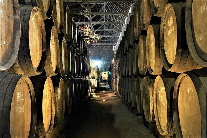Wine barrels stacked in a dim winery cellar