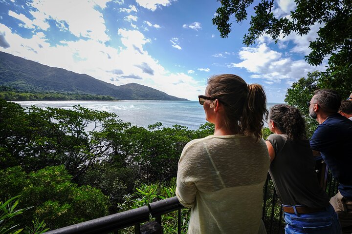 Promenade guidée dans la forêt tropicale de la Daintree