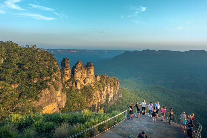 Kängurus in der Dämmerung in den Blue Mountains