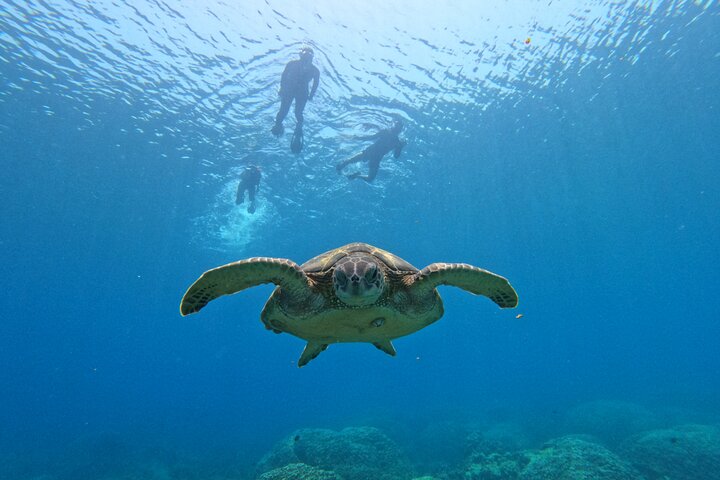 Boat trip to the Daymaniyat Islands, snorkelling