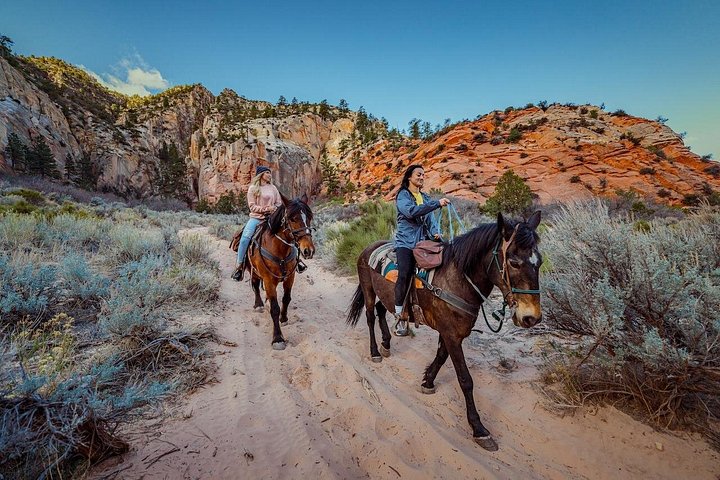 Balade à cheval dans l'est de Zion, White Mountain