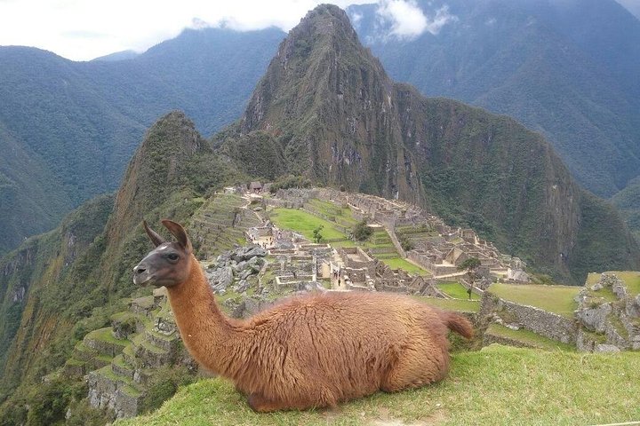 Classic viewpoint over Machu Picchu on a full-day group tour from Cusco
