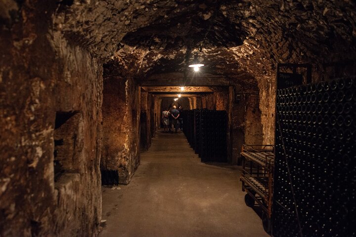 Tour: afternoon champagne and small producers from Reims
