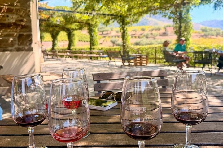 Douro Valley hills and vineyards on a half-day lunch tour