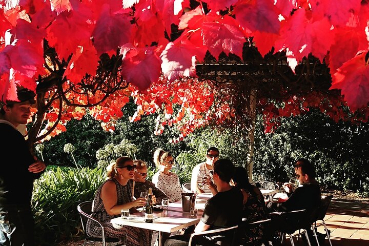 Valleys of Vino Full Day Tour