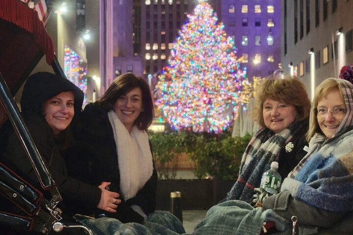 Calèche décorée sur une avenue new-yorkaise illuminée