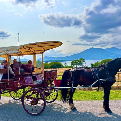 Private jaunting car in Killarney National Park, near Muckross