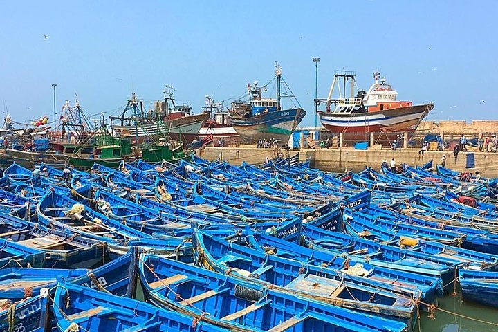 Harbor and coast at Essaouira on the day trip from Marrakech