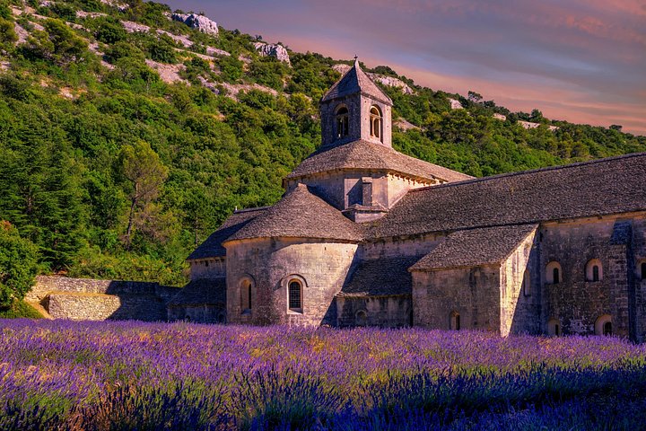 Champs de lavande en fleurs au pied d'un village du Luberon