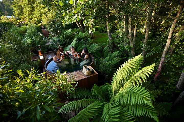 Bain à remous en forêt à Rotorua
