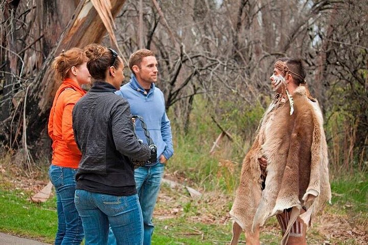 Buschlandschaft der Blue Mountains, Ort der Tour mit Aborigine-Guide