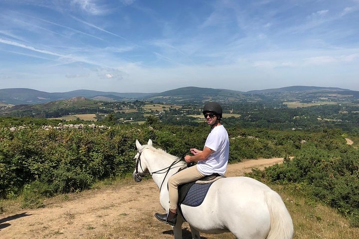 Rider on a horse on a Wicklow trail with mountains behind