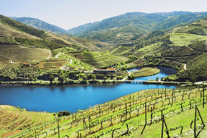 Small group on a Douro Valley winery and river tour