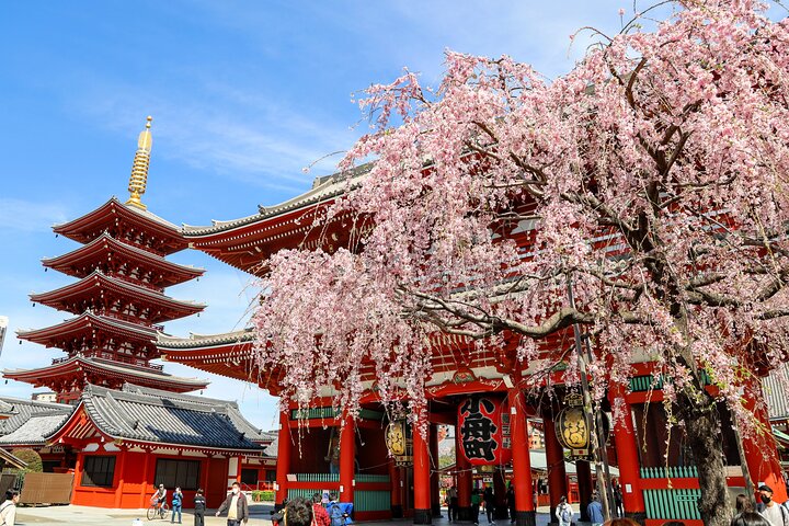 Sightseeing bus tour of central Tokyo