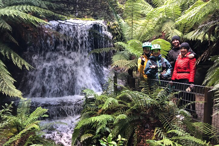 Easy Bike Tour - Mt Wellington Summit Descent & Rainforest Ride