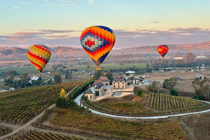 Montgolfière survolant les vignobles de Napa Valley au lever du jour