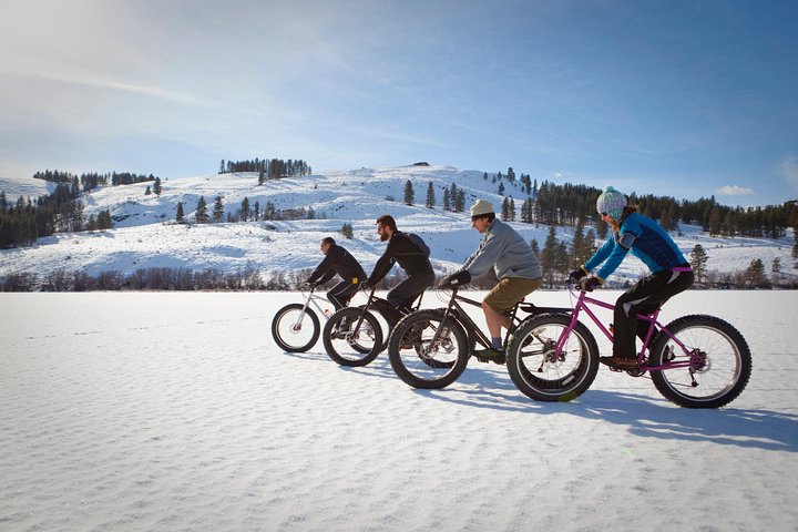 Cyclist on a fatbike along a snowy trail