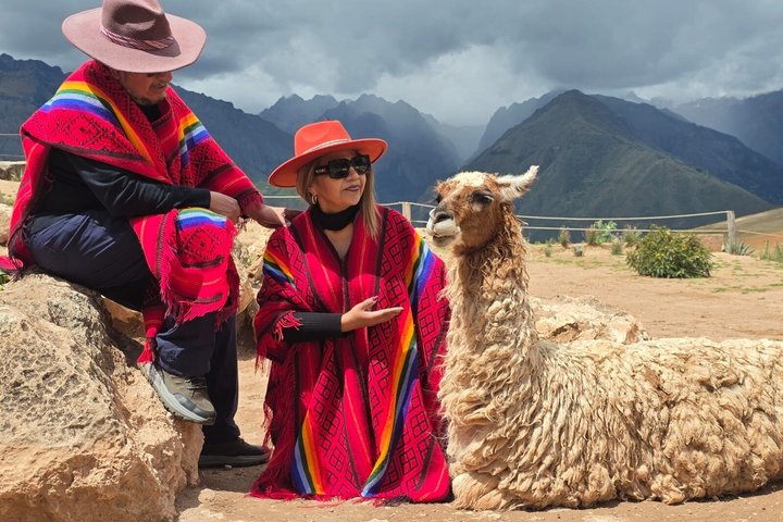Alpaca farm and Andean landscape visited on a private tour
