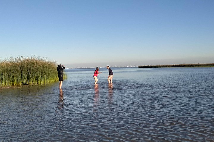 Tigre delta boat tour, Viator listing photo