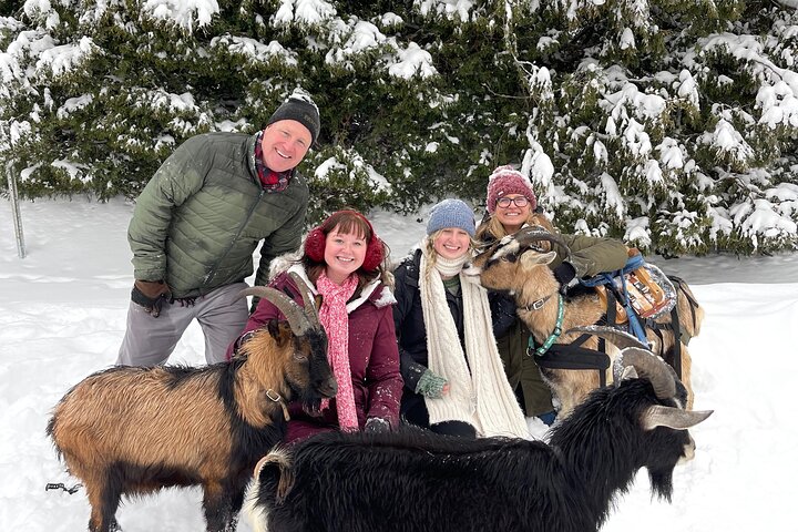 Raquettes dans la neige de la vallée de la Jacques-Cartier