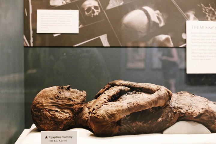 Entrée du Musée national d'histoire naturelle du Smithsonian
