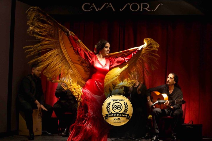 Danseuse de flamenco lors d'un spectacle à Barcelone