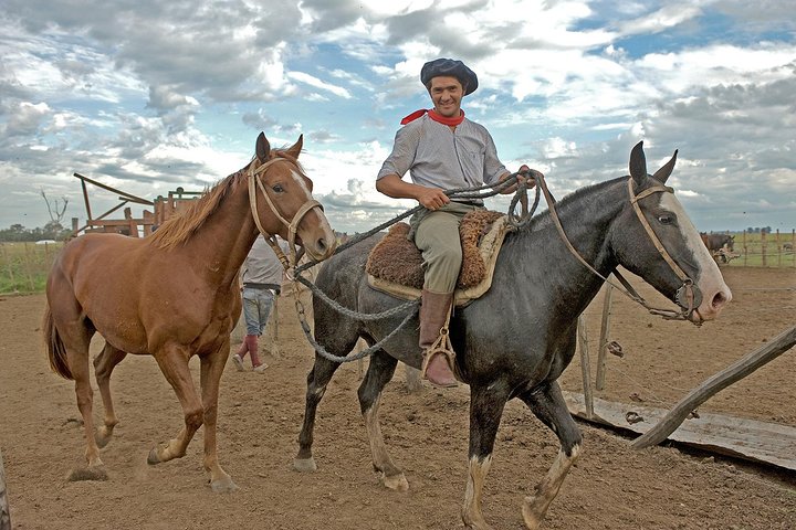 Private gaucho town and estancia tour, Viator listing photo
