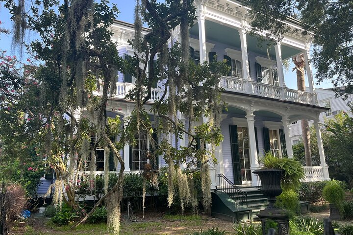 Shaded street in the garden district, small-group walk