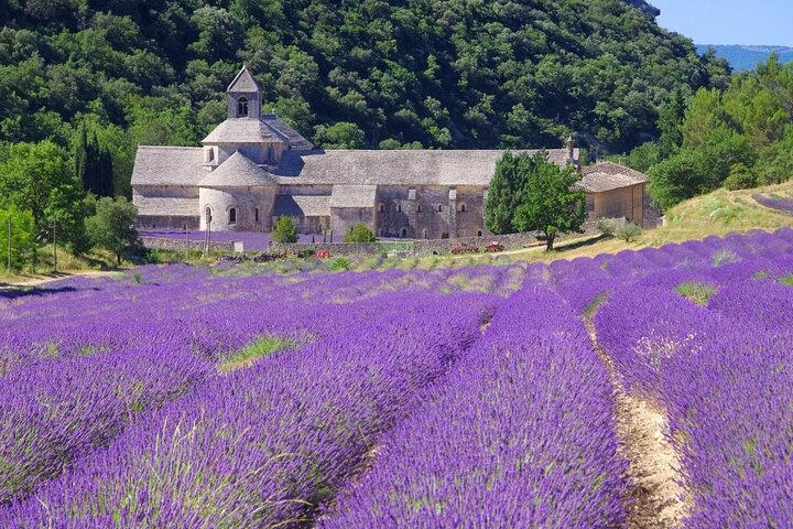 Paysage de collines et de vignes du Luberon en lumière d'automne