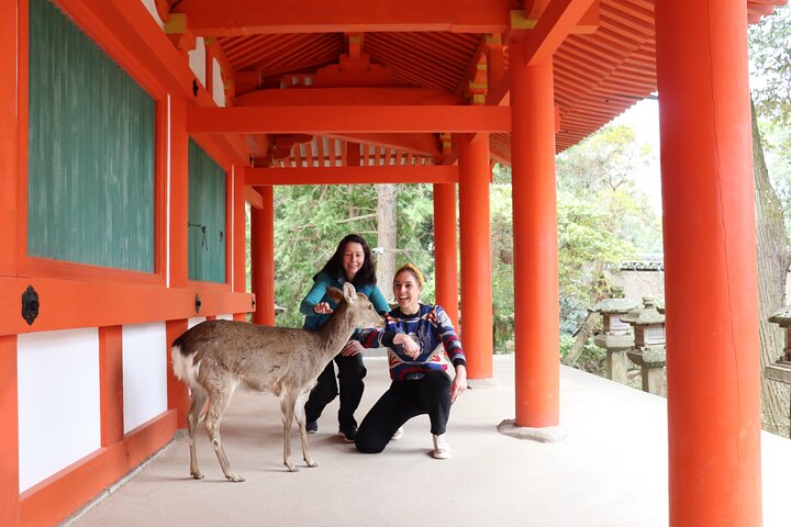 View of the Kasuga Grand Shrine in Nara
