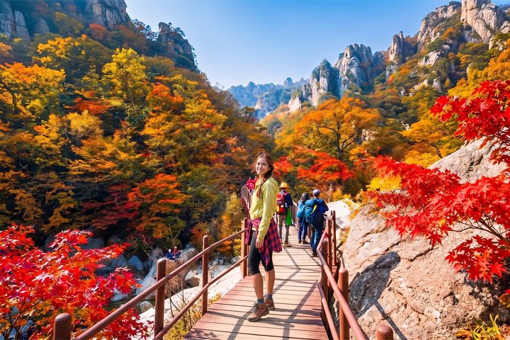 Photo from the Viator listing for the Mount Seorak and Nami Island day trip