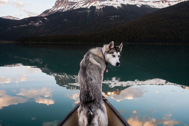 Paysage des Rocheuses visité en petit groupe, Banff et Yoho
