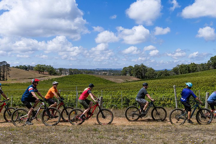 Cycliste sur une route de vignes de McLaren Vale