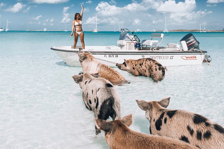 Vue aérienne des îles et des bancs de sable des Exumas