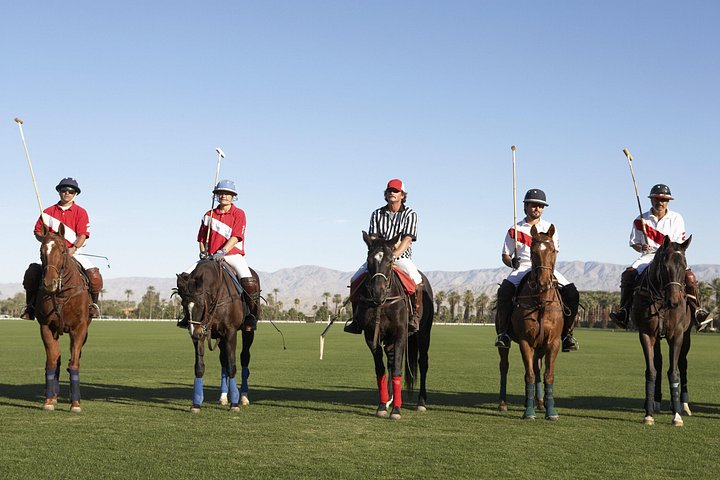 Polo match near Buenos Aires, Viator listing photo
