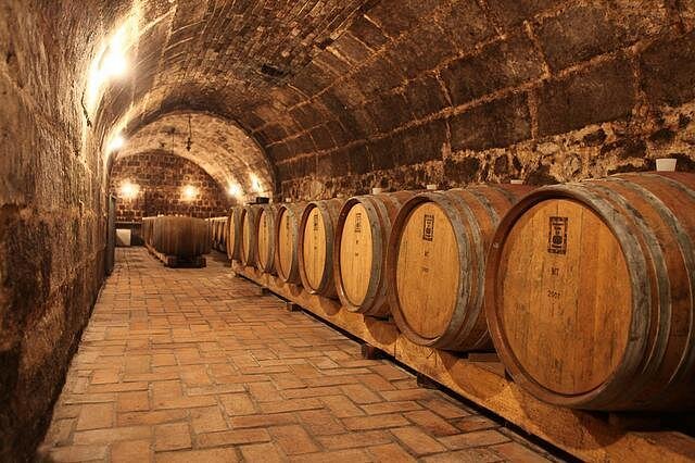 Vineyards and cellars of the Etyek wine region on a day trip from Budapest