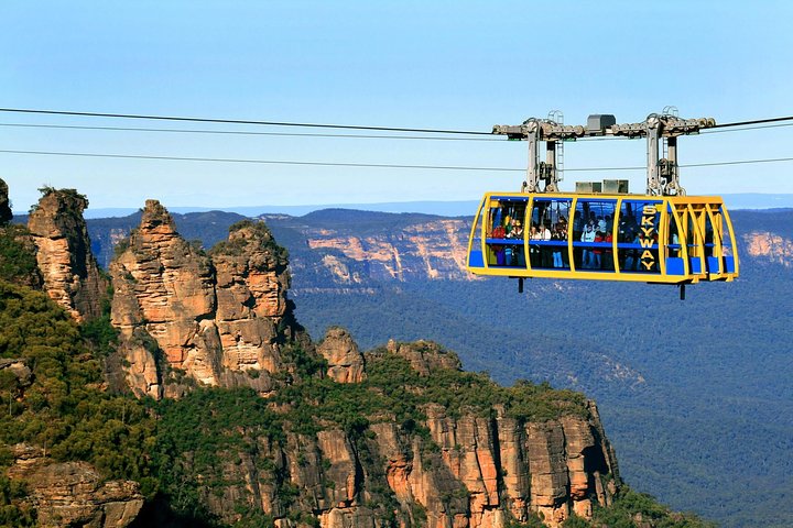 Koala in einem Wildpark nahe den Blue Mountains