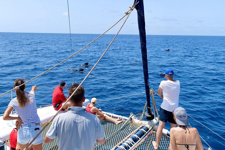 Catamaran demi-journée sur l'océan Atlantique – Santa Maria, île de Sal, Cap-Vert (photo 3)