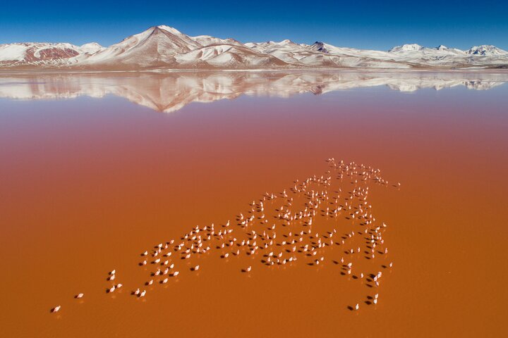 Circuit 4x4 de 3 jours : Salar d'Uyuni, Laguna Colorada, geysers et Laguna Verde – Uyuni, Bolivie (photo 1)