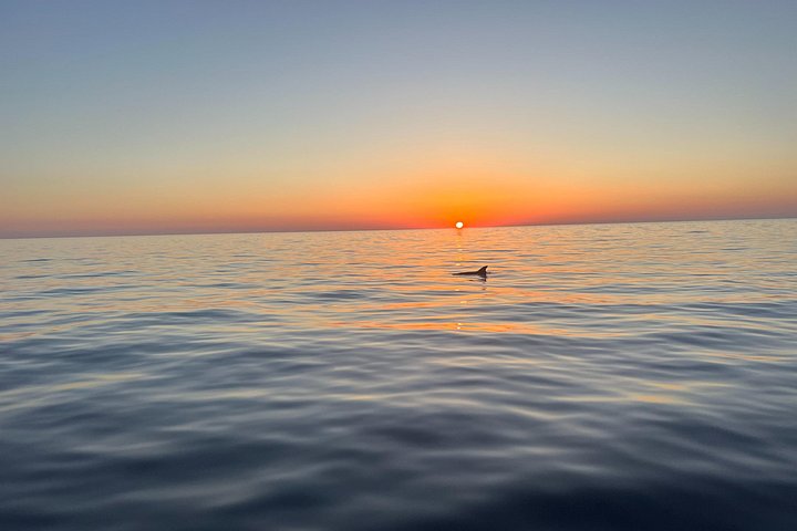 Croisière apéritive au coucher du soleil, Calvi – Port de Calvi, 20260 Calvi (photo 3)