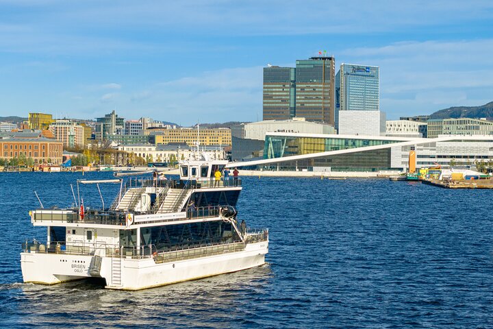 Croisière guidée sur l'Oslofjord en bateau silencieux – Point d'embarquement indiqué à la réservation, Aker Brygge, Oslo, Norvège (photo 2)