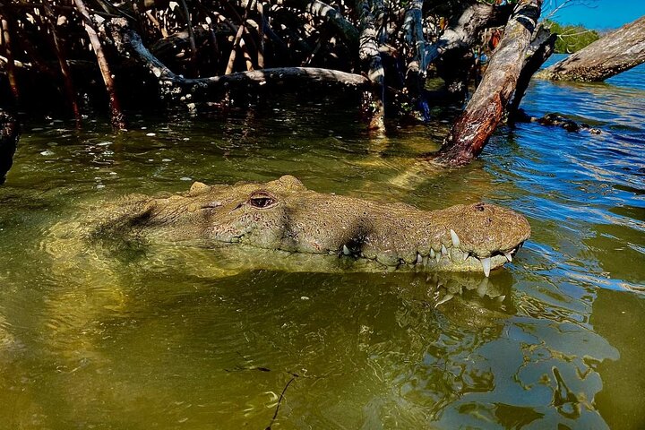 Eco-safari de Ría Lagartos – Río Lagartos, Yucatán, Mexique (photo 3)