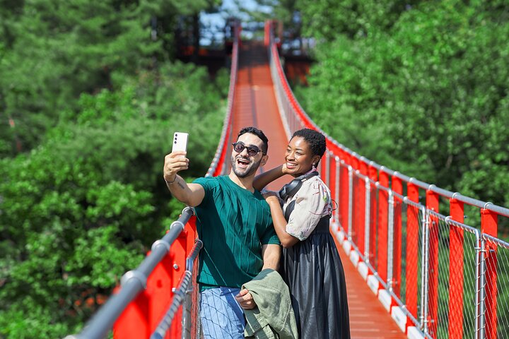 Suspension bridge crossing a river valley near the DMZ