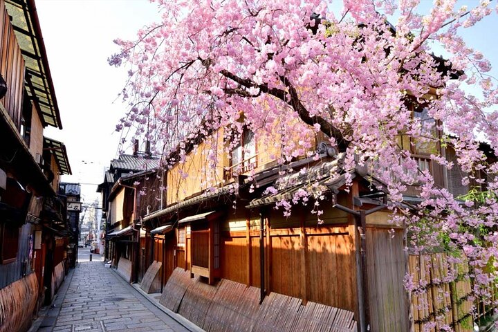 Gion à pied avec un guide : ruelles et culture des geishas – Gion, Kyoto (point de rendez-vous indiqué sur le bon d'échange) (photo 3)