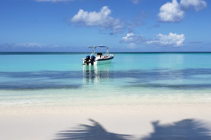 Île Saona : bateau rapide, plage et snorkeling (photo 1)