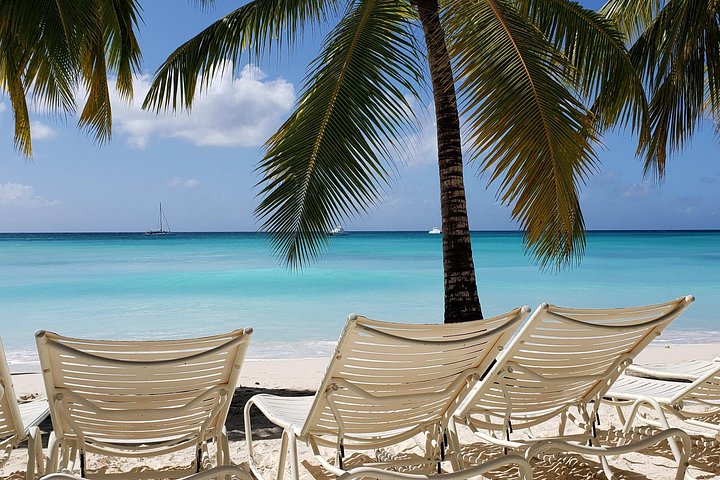 Île Saona : bateau rapide, plage et snorkeling (photo 2)