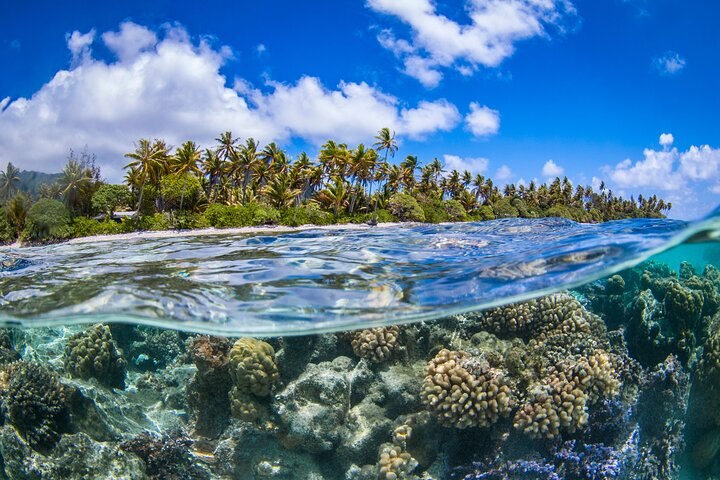 Journée sur le lagon de Bora Bora en groupe, déjeuner sur un motu – Point de rendez-vous indiqué sur le bon de réservation, Bora Bora, Polynésie française (photo 2)